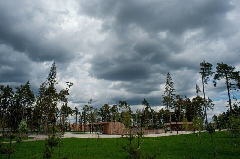 Cover Image of Топ-3 парки для прогулок и пикников в Амстердаме
